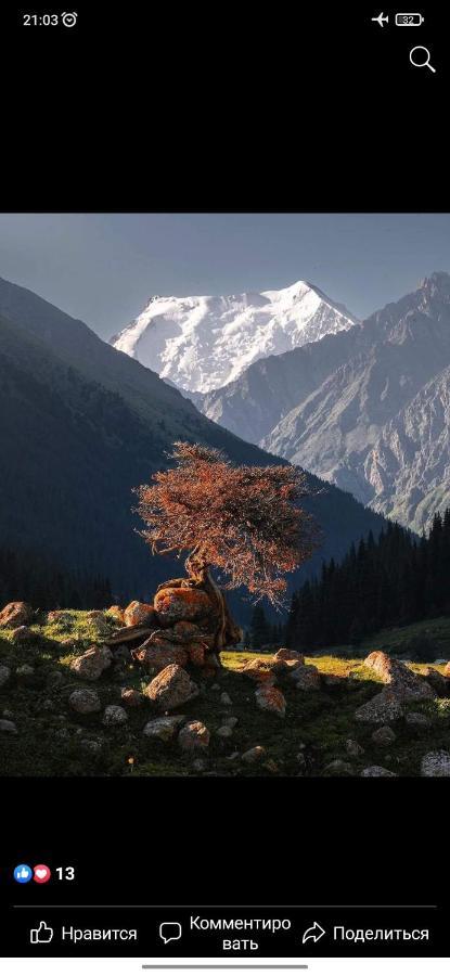 Ala-Kul Guesthouse In Altyn-Arashan كاراكول المظهر الخارجي الصورة