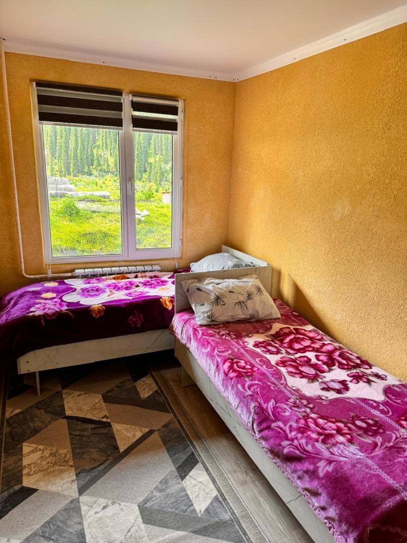 Ala-Kul Guesthouse In Altyn-Arashan كاراكول المظهر الخارجي الصورة