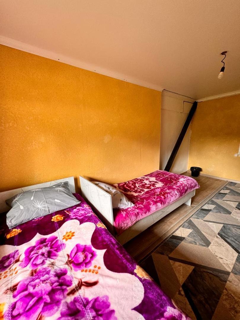 Ala-Kul Guesthouse In Altyn-Arashan كاراكول المظهر الخارجي الصورة