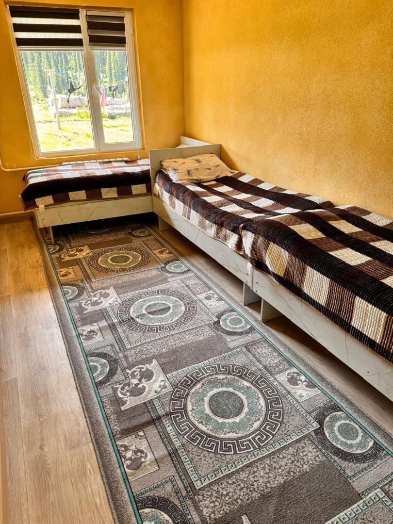 Ala-Kul Guesthouse In Altyn-Arashan كاراكول المظهر الخارجي الصورة
