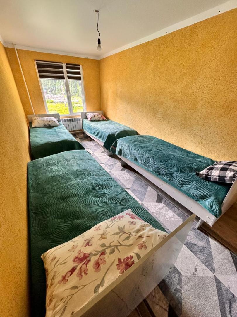 Ala-Kul Guesthouse In Altyn-Arashan كاراكول المظهر الخارجي الصورة
