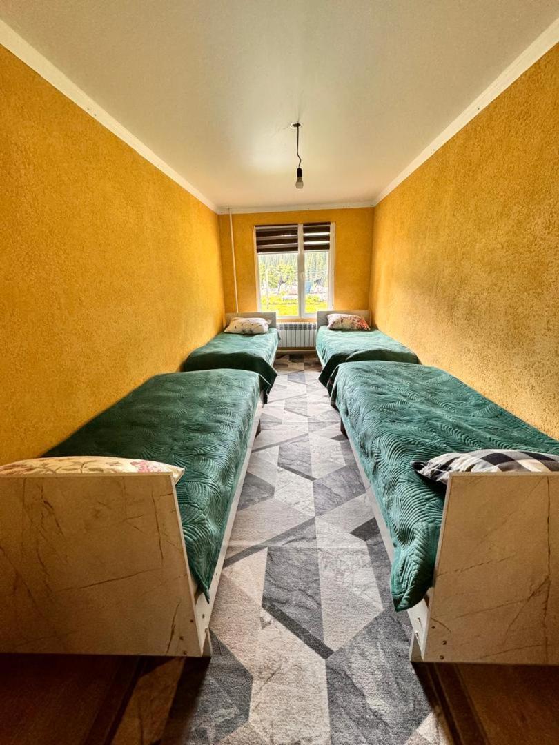 Ala-Kul Guesthouse In Altyn-Arashan كاراكول المظهر الخارجي الصورة