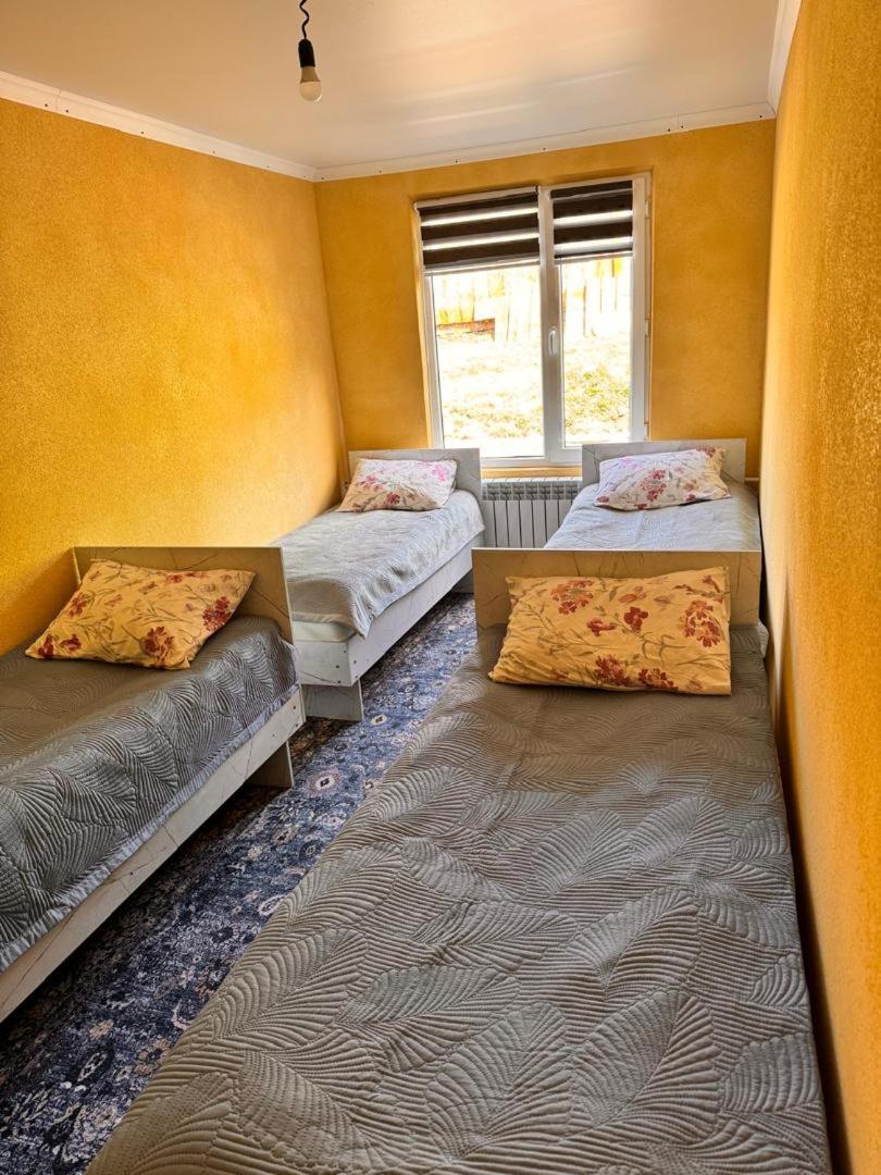 Ala-Kul Guesthouse In Altyn-Arashan كاراكول المظهر الخارجي الصورة
