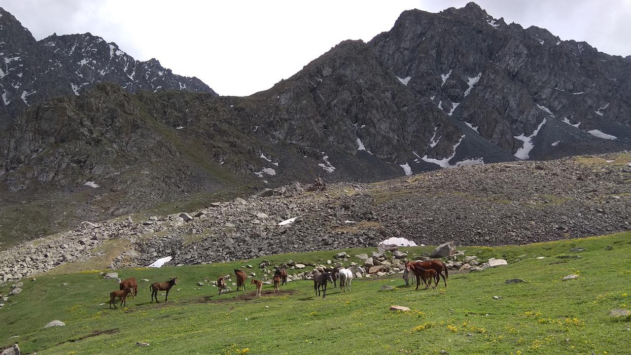 Ala-Kul Guesthouse In Altyn-Arashan كاراكول المظهر الخارجي الصورة