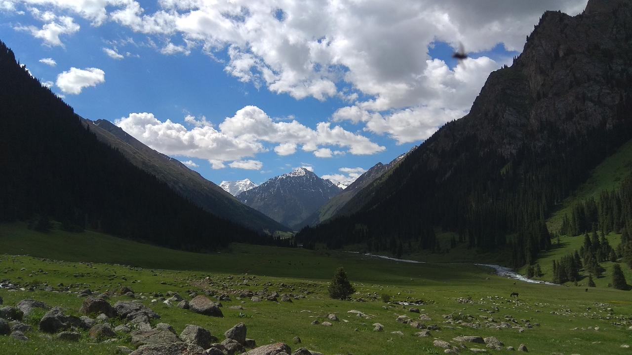 Ala-Kul Guesthouse In Altyn-Arashan كاراكول المظهر الخارجي الصورة
