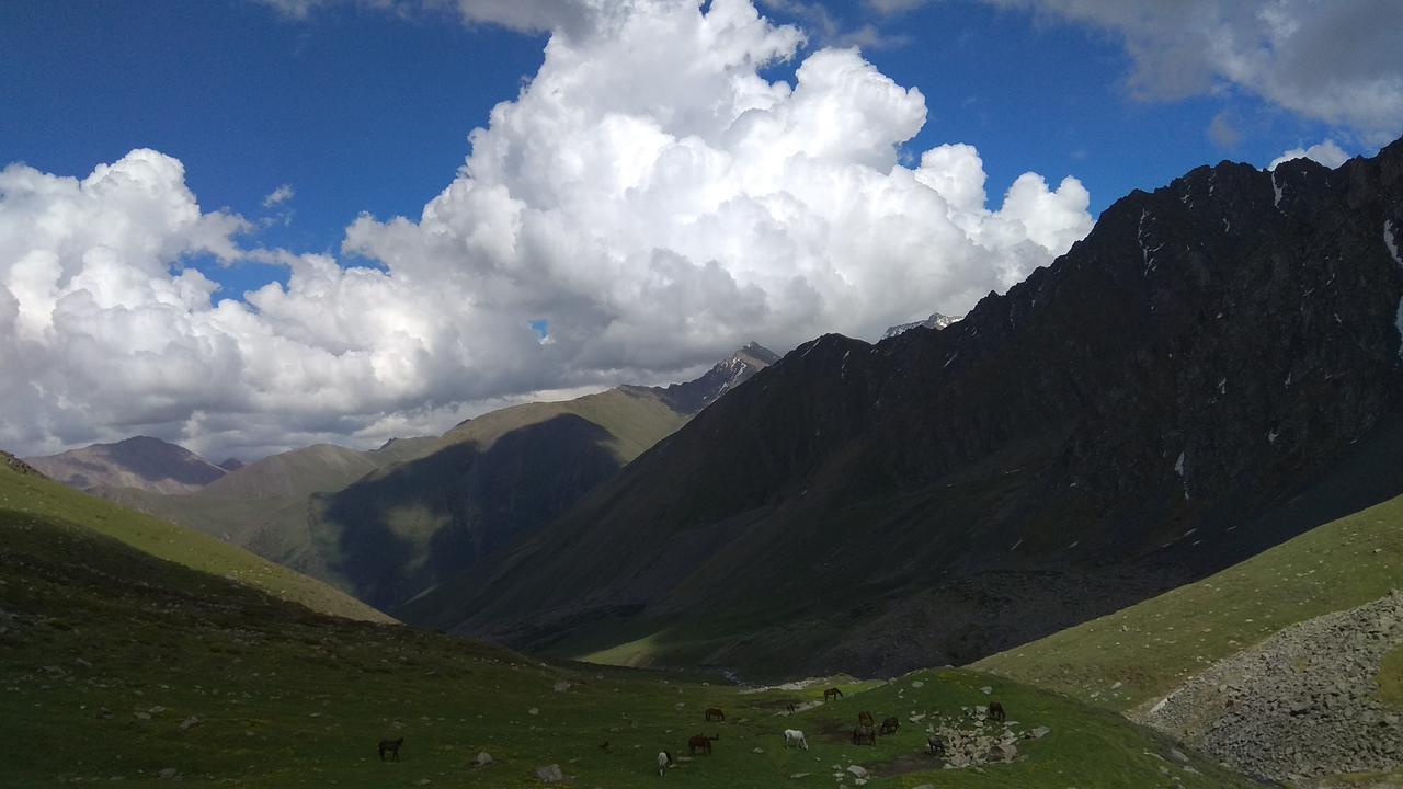 Ala-Kul Guesthouse In Altyn-Arashan كاراكول المظهر الخارجي الصورة